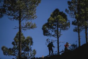 I Edición de la Fénix Trail