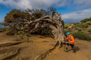 Maratón del Meridiano. El Hierro