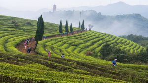 Ultra-Trail Ninghai se une al imperio UTMB