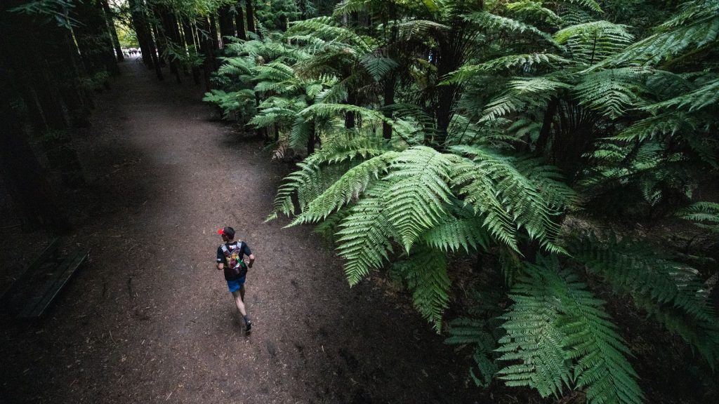Tarawera Ultramarathon en Nueva Zelanda, primera parada de las UTMB World Series