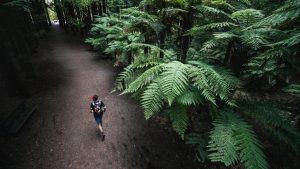 Tarawera Ultramaraton en Nueva Zelanda, primera parada de las UTMB World Series