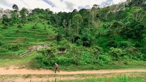 Tailandia celebra la Amazean Jungle Thailand by UTMB