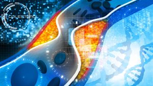 El colesterol, ¿qué es?