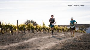 Vino, sol y kilómetros en la Sherry Maratón