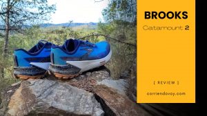 Brooks Catamount 2