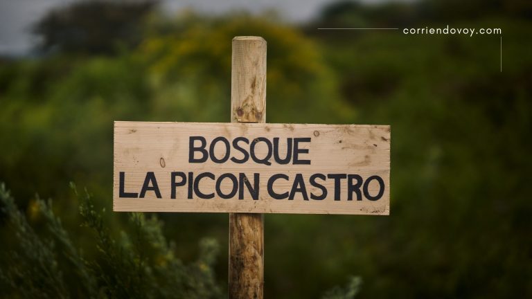 La Picón Castro, una carrera que también tiene un bosque