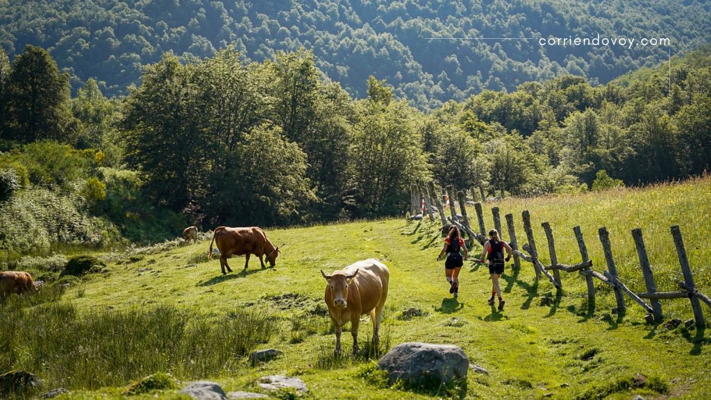 6ª Riaño Trail Run