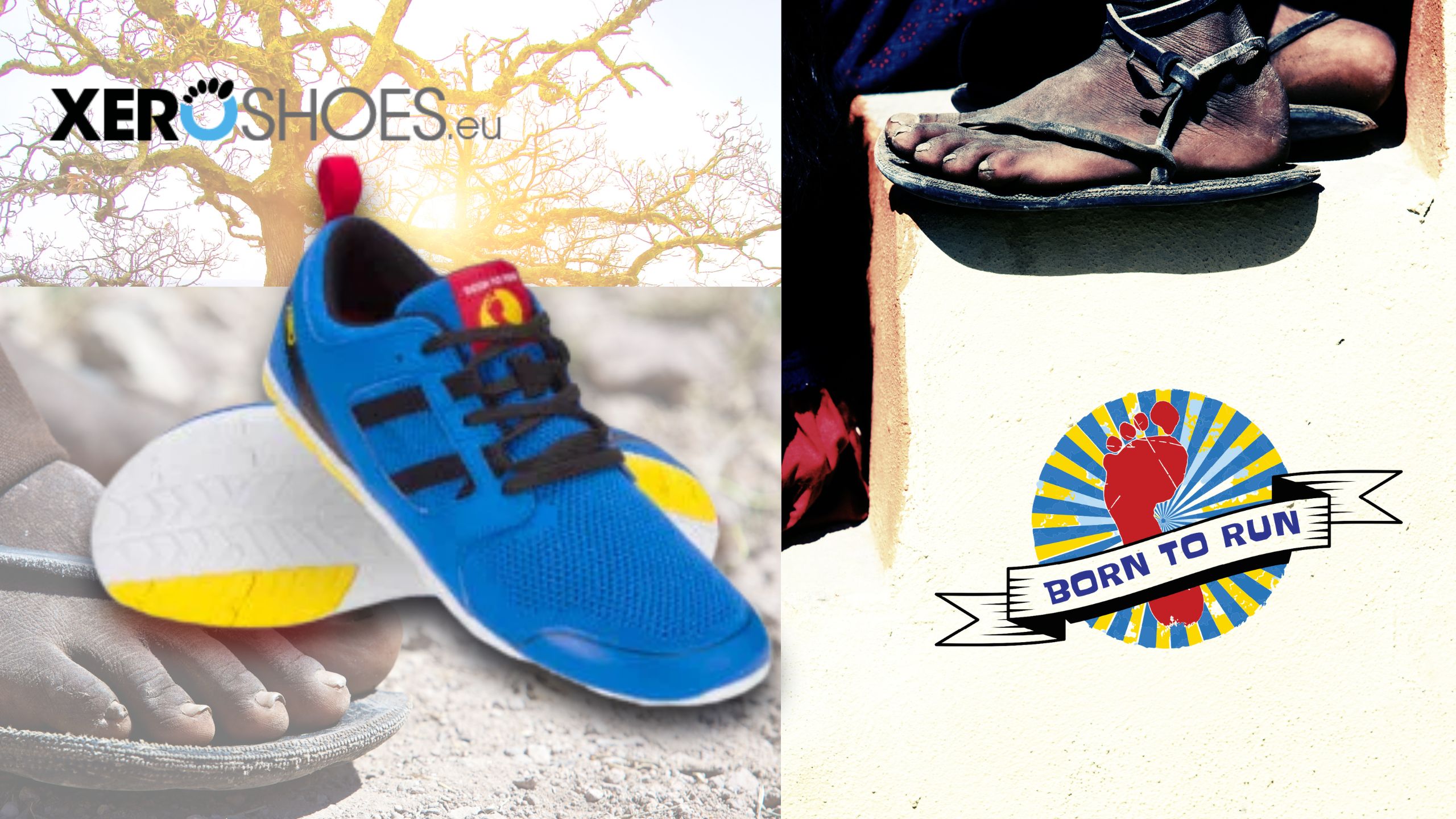Xero Shoes lanza nuevo calzado barefoot para correr, hacer senderismo y uso  diario - Running y trail