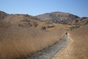 Consejos para mejorar tu velocidad en carreras de larga distancia