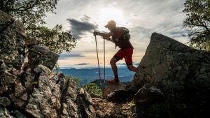 Marató dels Dements