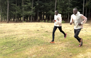 Judit Jerono y Godfrey Kipruto