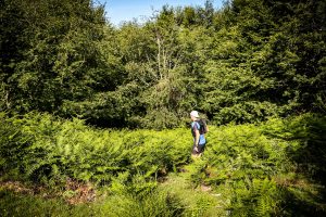 Trail Fonts del Montseny by Aigua Viladrau