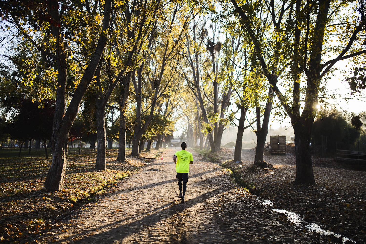 Participant performs during the Wings for Life World Run - App Run in Santiago de Chile, Chile on May 6, 2018. // Alfred Jürgen Westermeyer for Wings for Life World Run // SI201805060659 // Usage for editorial use only //