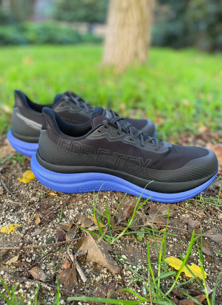 Review Saucony Triumph 23 GTX