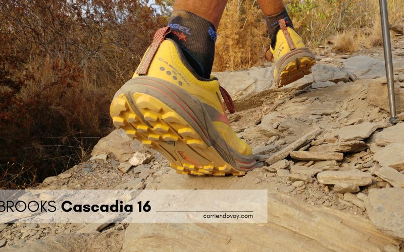 ¿Qué zapatilla he de escoger para iniciarme en el trail running?