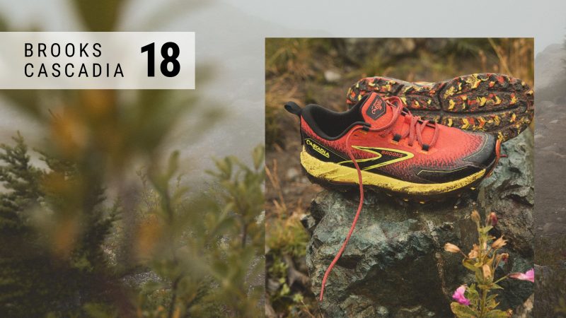 Brooks Cascadia 18