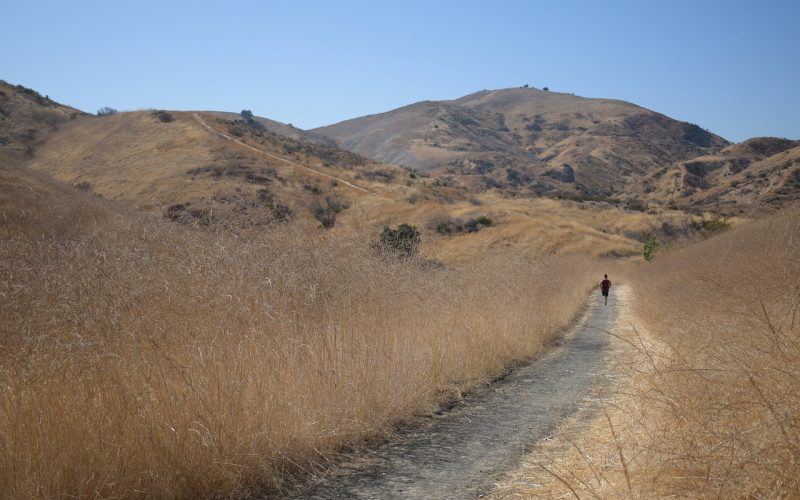 Consejos para mejorar tu velocidad en carreras de larga distancia